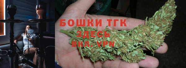 крисы Кинешма