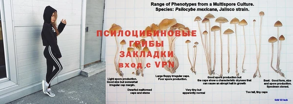 гидра Киренск