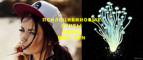 гидра Киренск
