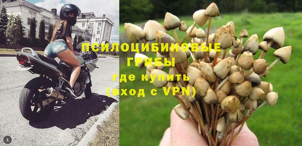 крисы Кинешма