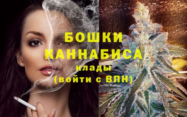 крисы Кинешма