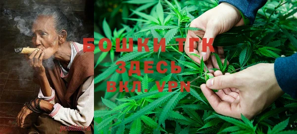 гидра Киренск