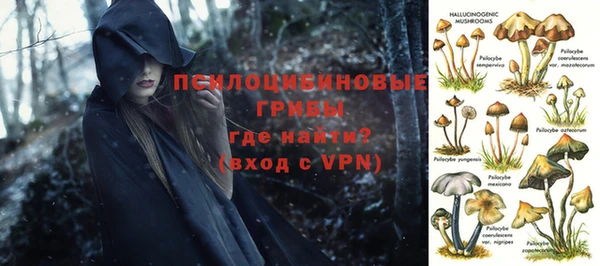 крисы Кинешма