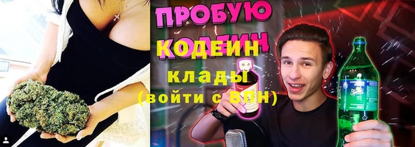 гидра Киренск