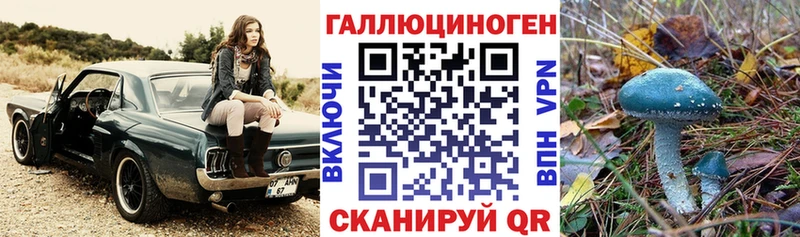 Купить  Дорогобуж  Галлюциногенные грибы Magic Shrooms 